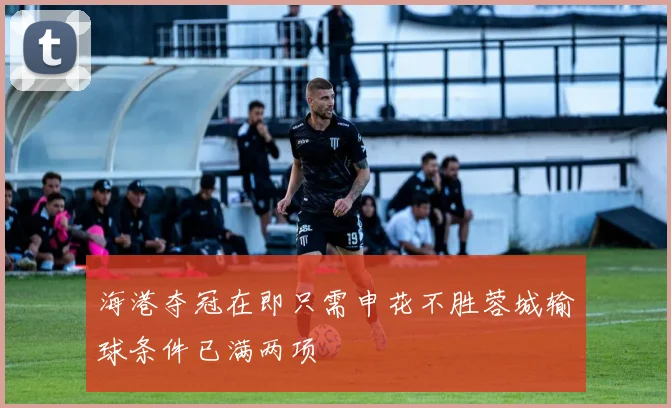 海港夺冠在即只需申花不胜蓉城输球条件已满两项